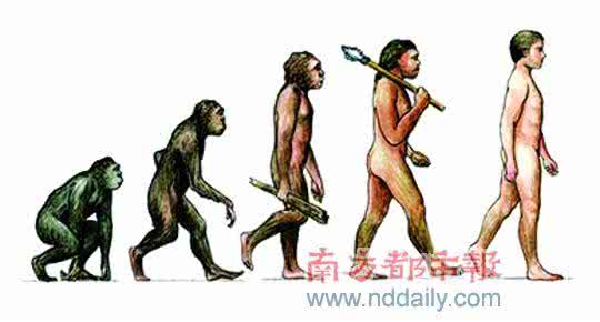 动物世界人类进化 动物联系:让人类在进化中脱颖而出