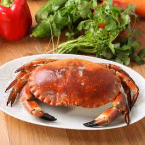 爱尔兰海鲜 爱尔兰 品味爱尔兰海鲜盛宴,体验无污染的鲜美滋味