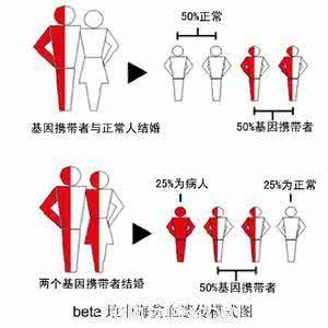 地中海基因是什么意思 地中海贫血基因是什么