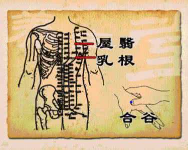 长寿秘方 第九篇_长寿滋补秘方(精选)全国名老中医秘、偏方-20