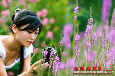 今年春天我很快乐 今年春天我很快乐 今年春天我很满足