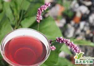不是古代药酒常用原料 治病常用药酒-肿瘤（一）