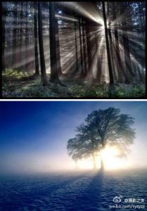 重庆现平流雾美景 7招创造完美雾景