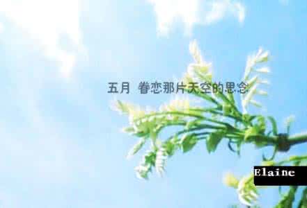 我的天空里没有太阳 五月,在我的天空里
