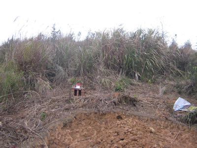 祖坟猛虎跳墙出后人 28、猛虎跳墙