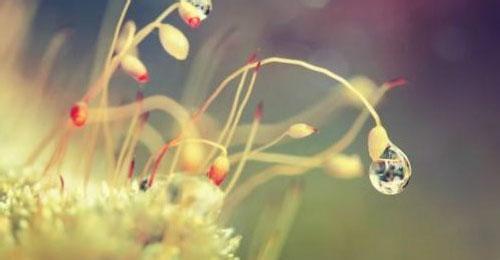 关于时间的哲理句子 时间哲理：岁月不会迁就任何人