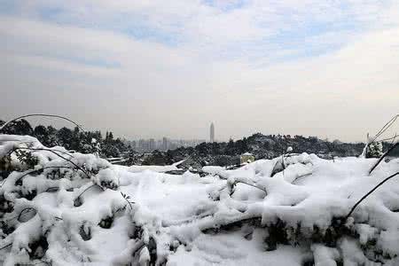 梦见积雪 梦见积雪 梦见下雪或积雪