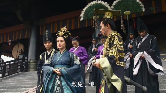 赢荡为什么传位嬴稷 芈月传嬴稷的介绍 赢荡为什么传位嬴稷