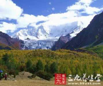 青藏高原冰川 高原冰川,江湖田园,意想不到的壮美风光