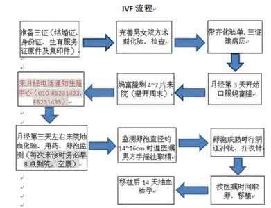 做试管婴儿的步骤流程 试管婴儿流程步骤 试管婴儿的流程步骤和费用