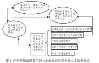 浅析海尔发展战略 基于会计学发展战略的会计基础理论问题浅析