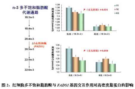 代谢组学研究进展 盘点代谢性疾病突破性研究进展