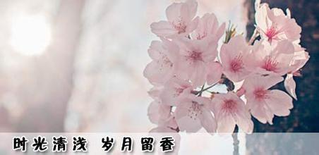 芬芳过往 岁月静好 【人生杂谈】芬芳过往，岁月静好