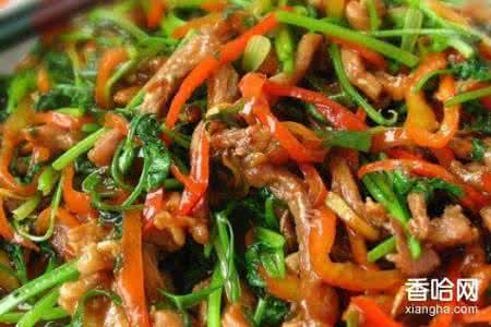 香辣肉丝 香辣肉丝（一）【香哈美食】