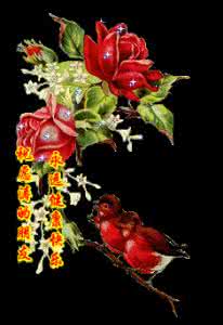 早上祝福语问候语 精美空间祝福问候语40