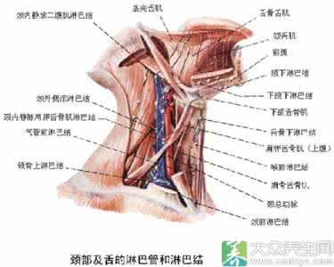淋巴畅通有奇效 ??常按淋巴有奇效！90%的疾病都能解决~（真人指导）