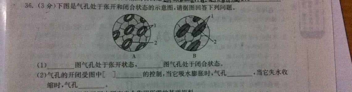 滴滴一个月能挣多少钱 她从来不会问“一个月挣多少钱”这么低级的问题！