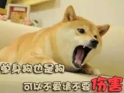 原研哉设计作品 原研哉 特地为单身狗设计的床，连原研哉都为你的（对象）问题操碎心