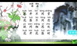 春望词 薛涛 薛涛春望词