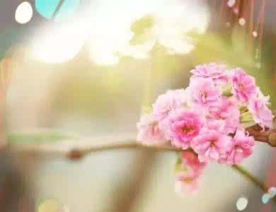 温暖心灵的情感美文 【情感美文】—好好珍惜身边那个懂你的人