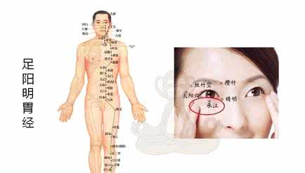 情绪与十二经络的关系 通过十四经络来释放情绪