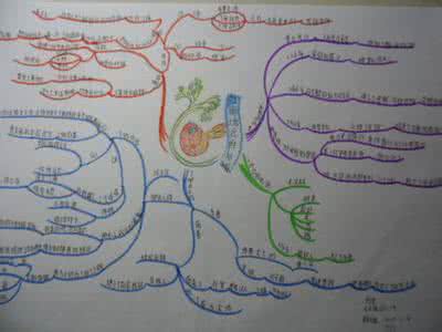 思维导图简单画法 思维导图关于初一 思维导图简单画