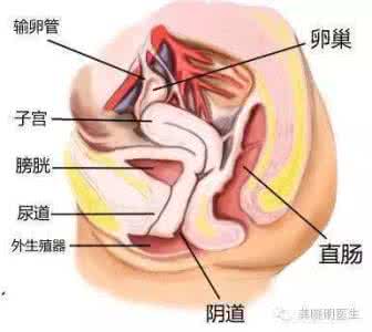 剖腹产后肚皮松弛下坠 擦！剖腹产也会导致阴道松弛：剖宫产也会出现阴道松弛