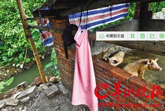 饮用水源地保护条例 广东部分饮用水源地禽畜滥用抗生素