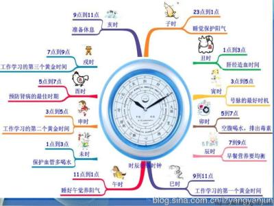 经络养生按摩手法视频 经络养生按摩手法调节五脏六腑