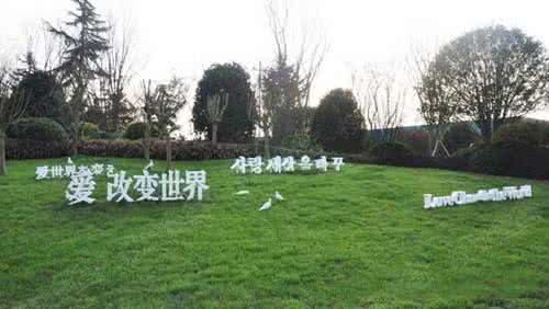 为爱情改变世界 被爱改变的世界