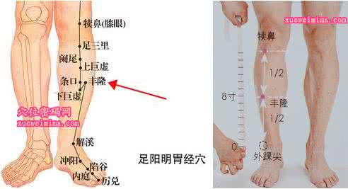 足三里的准确位置图 丰隆穴的准确位置图,按摩丰隆穴的作用与功效