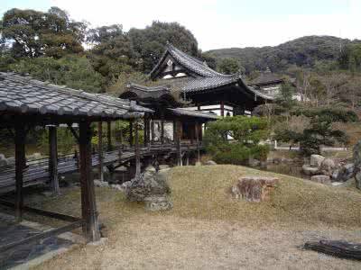 明月路188弄 方寸明月路，一叶心上秋