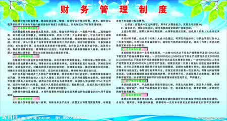 村级财务管理制度 村级财务“双代理”制度下的监督管理