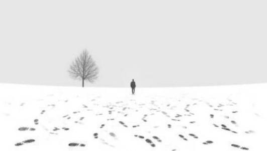 淡淡的深情 淡淡的深情1