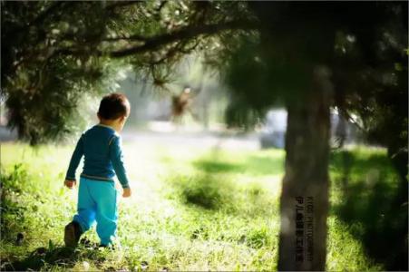 人生是一场场目送 人生是一场场目送 转载