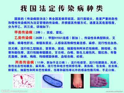 最新法定传染病分类 最新法定传染病分类 最新法定传染病分类 (2)