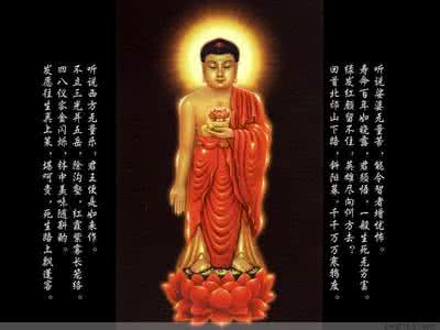 普贤菩萨行愿品的功德 舍利弗行菩萨道 舍利弗有什么功德