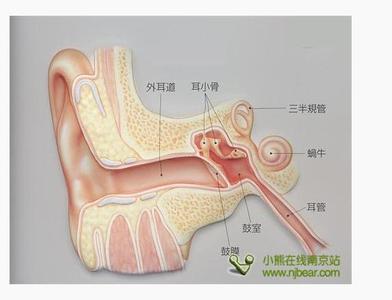 孕妇死胎的原因 孕妇睡姿至关重要,姿势不当容易造成死胎!