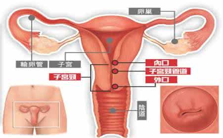 子宫内膜炎的原因 子宫内膜炎发生的原因是什么