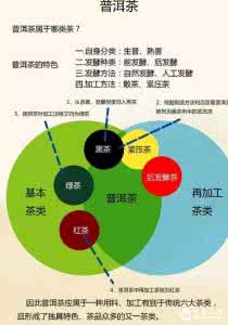 普洱茶收藏 彻底读懂普洱茶！收藏起来看！