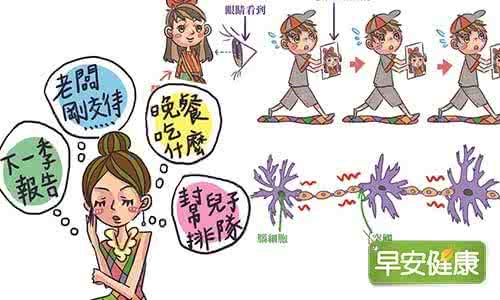 脑细胞可以再生吗 怎么去促进脑细胞再生去提高你的记忆力？