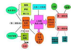 特异性免疫包括什么 特异性免疫