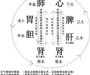 张仲景 黄元御解释张仲景脉法 这样解释仲景“以胃气为中心”很生动