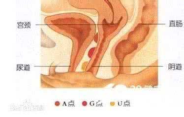 系带敏感 G点在哪?1秒带你找到最敏感部位