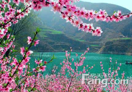 旺桃花运的风水布局 百川风水：天然生成“桃花运”多的生肖