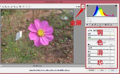 如何提高生活品质 简单调整提高品质 Camera Raw使用秘技