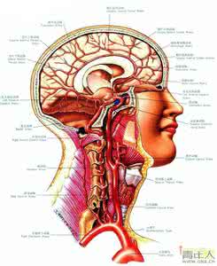 颈部动脉血管瘤 颈部动脉堵塞 颈部动脉血管堵塞的原因 应该如何预防？
