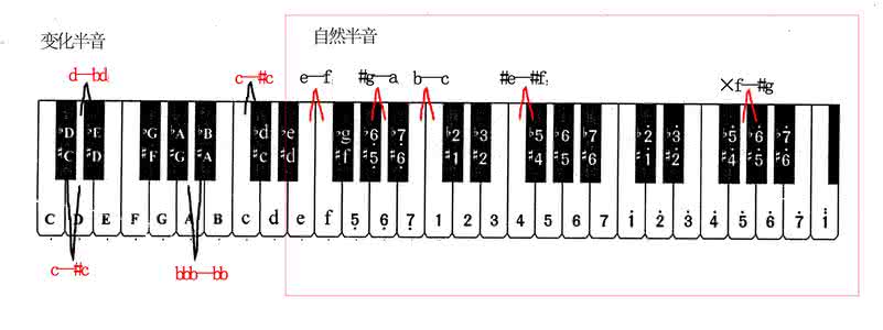 自然半音和变化半音 什么是变化半音？