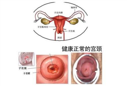 肾囊肿的危害 肾小囊肿 肾小囊肿的危害