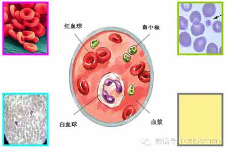 源动力 源动力是不是骗局揭秘 揭秘不是每个女人都会有处女膜